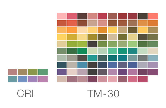 True Spectrum™ is changing how you see the world